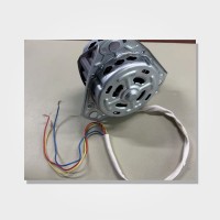 wash motor 200w