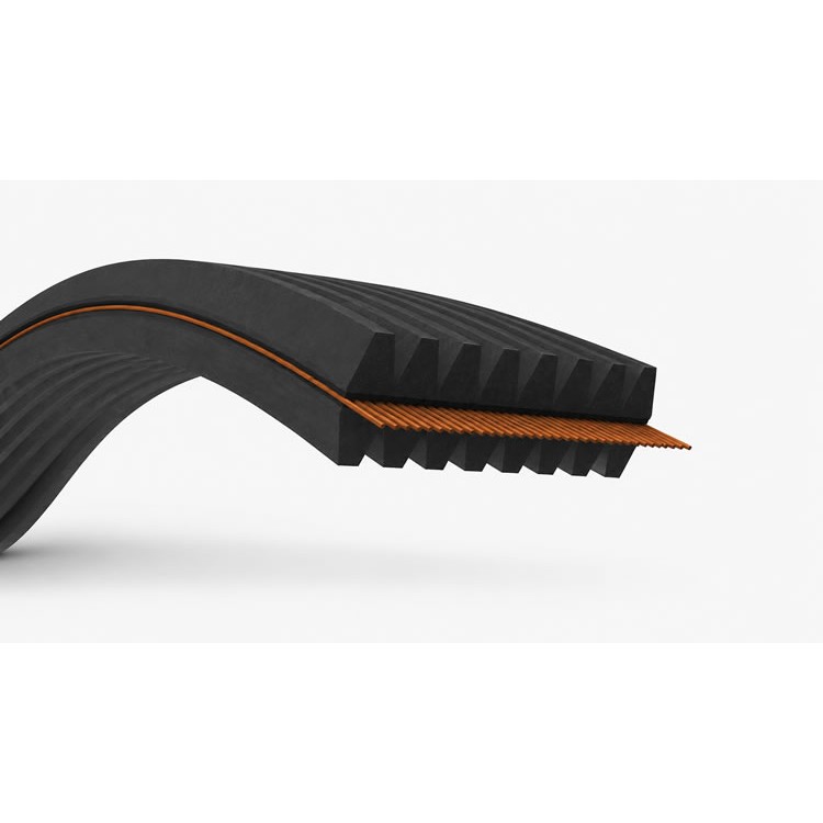 O BELT